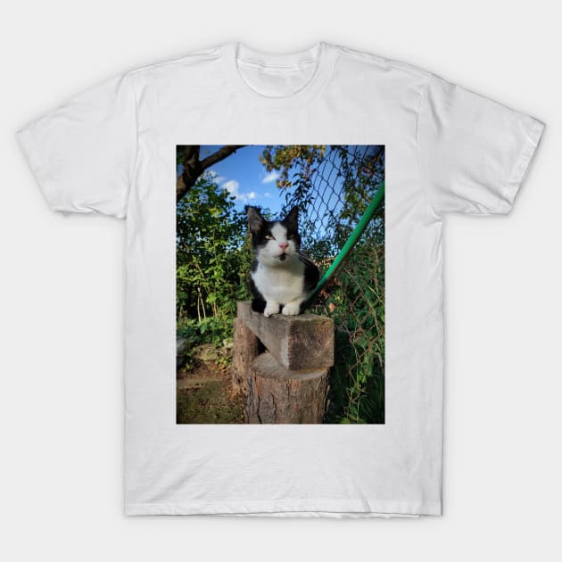 Robbi the cat T-Shirt by Gourmetkater